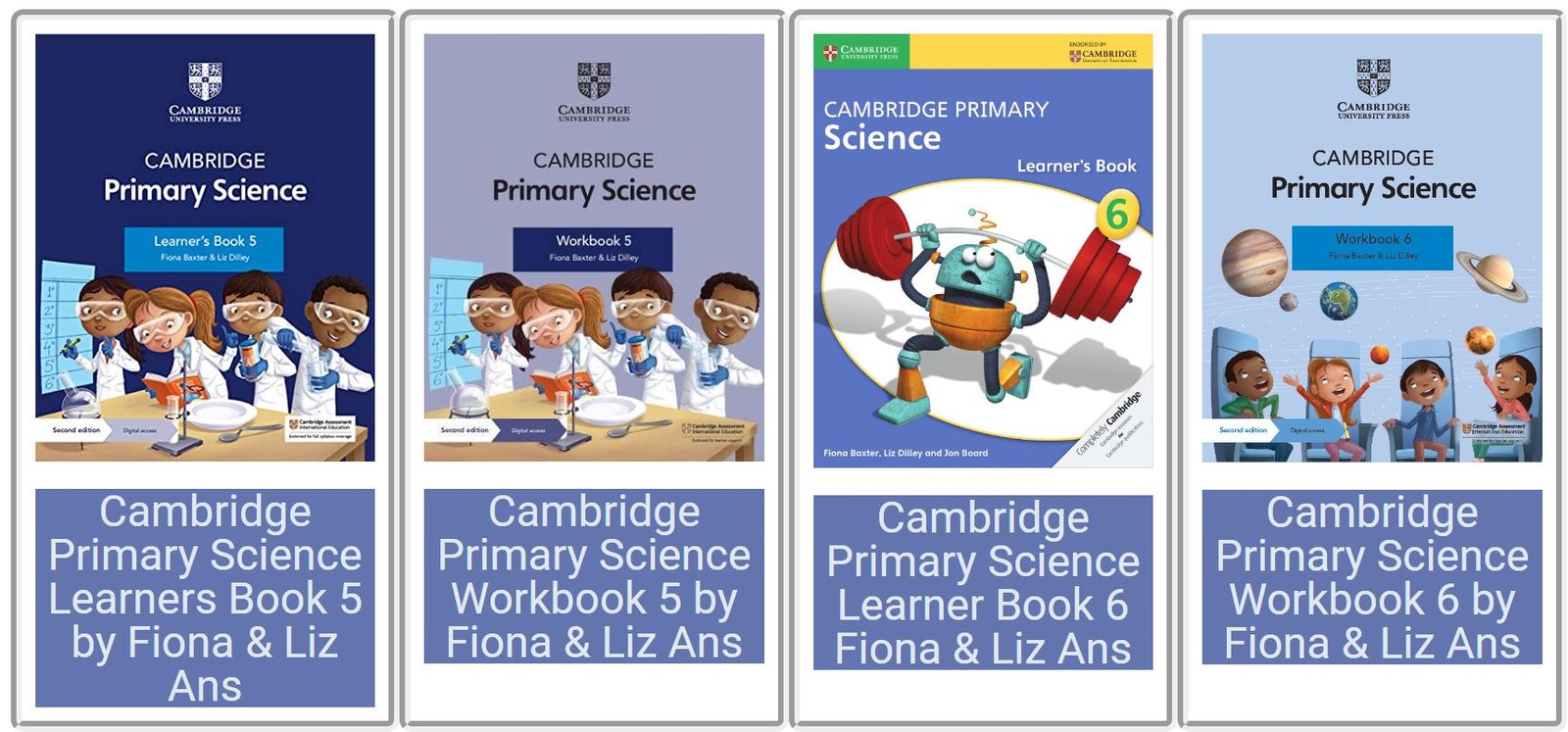 Cambridge primary checkpoint past papers bank